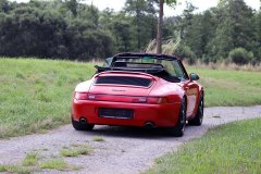 IMG_9917